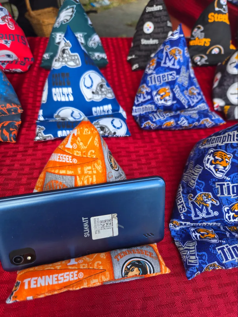 click here for aloe plants description